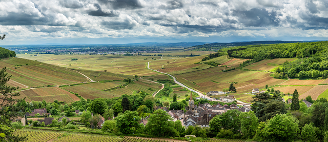 Chablis