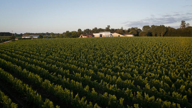 Vignobles Baylet