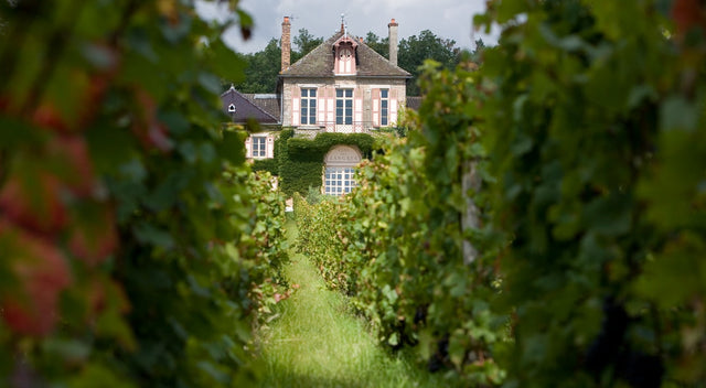 Domaine D'Ardhuy - Ladoix 1Er Cru " Le Rognet" Monopole - Aop Ladoix 1Er Cru - 2022