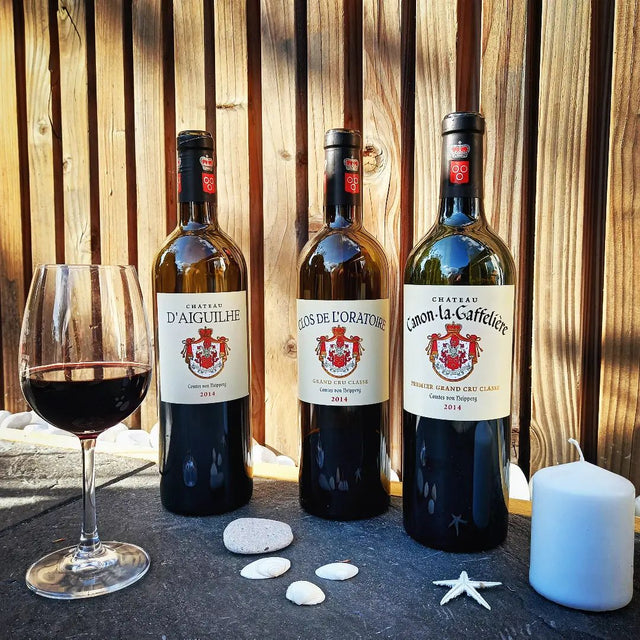 Chateau D'Aiguilhe - Aoc Castillon Cotes Bordeaux - 2018