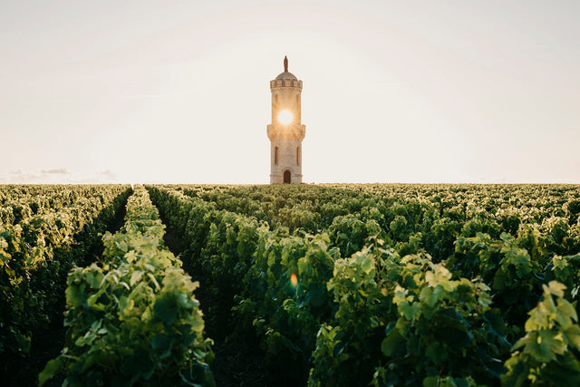 Chateau Haut-Batailley - Haut Batailley Verso - Aop Pauillac - 2018