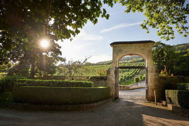 Chateau Philippe Le Hardi - Aloxe Corton Les Brunettes Et Planchots - Aop Aloxe Corton - 2020