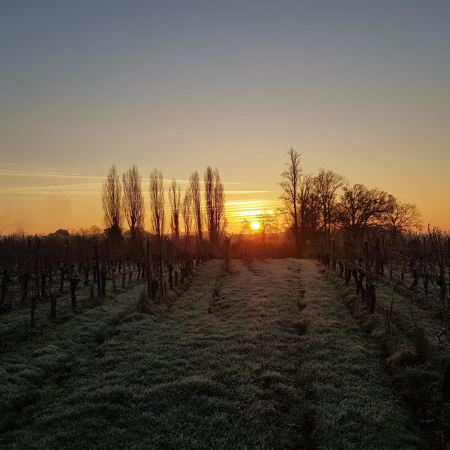 Chateau Altimar - Chateau Altimar Puy Versannes - Aop Saint Emilion - 2018