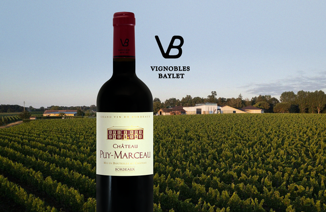 Vignobles Baylet - Château Puy Marceau - Aop Bordeaux Rouge - 2019