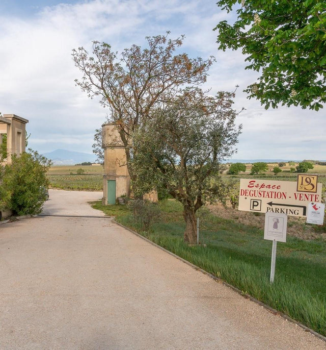 Domaine De Saint Siffrein - Cuvée Spéciale Terre D'Abel - Aop Chateauneuf Du Pape - 2019