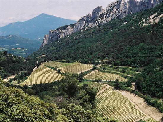 Moulin De La Gardette - Gigondas - Tradition - Rouge - 2020