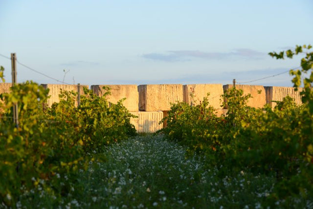 Domaine De La Janasse - Chateauneuf Du Pape Rouge - Aoc Chateauneuf Du Pape - 2019