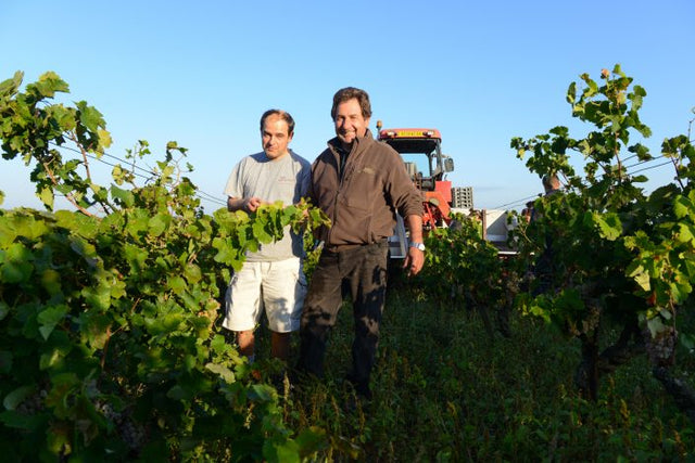 Domaine De La Janasse - Chateauneuf Du Pape Chaupin - Aoc Chateauneuf Du Pape - 2018