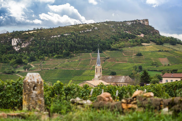 Domaine Gaillard - Pouilly Fuisse 1Er Cru Les Crays - Aop Pouilly Fuissé 1Er Cru - 2022