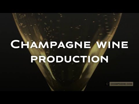 Champagne Soutiran - Signature” Grand Cru Brut - Aoc Champagne Grand Cru -